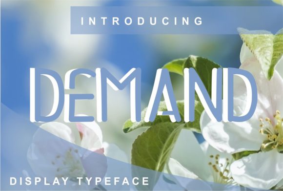 Demand: The Premium Display Font for Modern Makers
