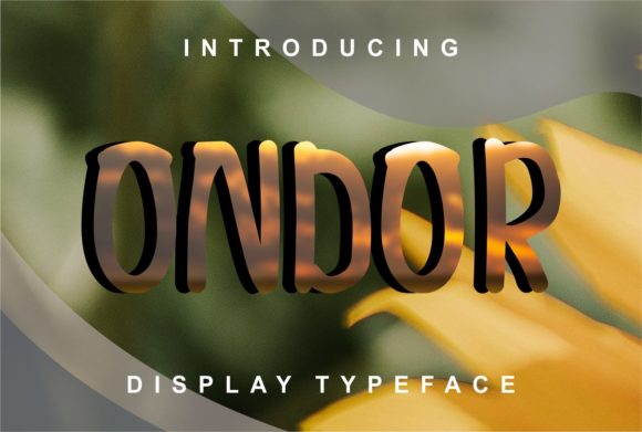 Ondor: The Clean Display Font for Polished Business Branding
